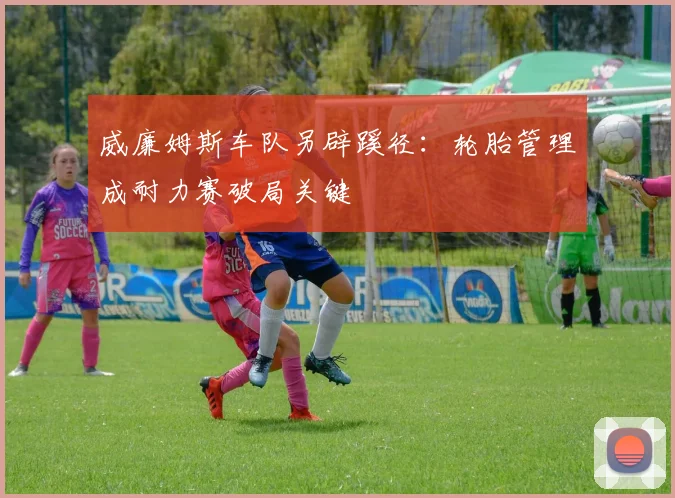 威廉姆斯车队另辟蹊径:轮胎管理成耐力赛破局关键