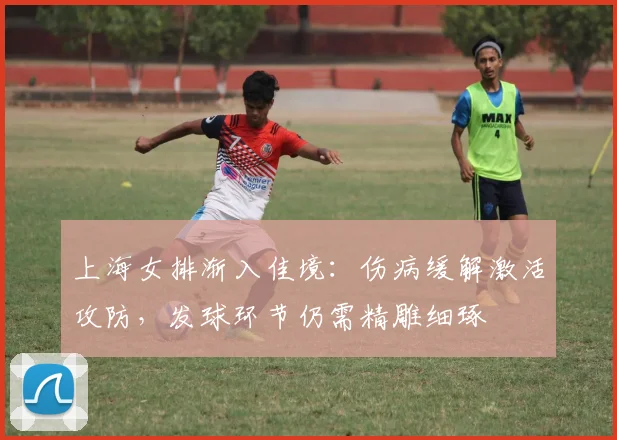 上海女排渐入佳境:伤病缓解激活攻防,发球环节仍需精雕细琢