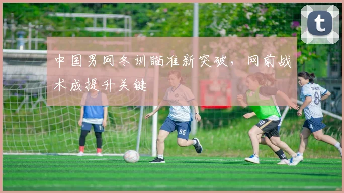 中国男网冬训瞄准新突破，网前战术成提升关键